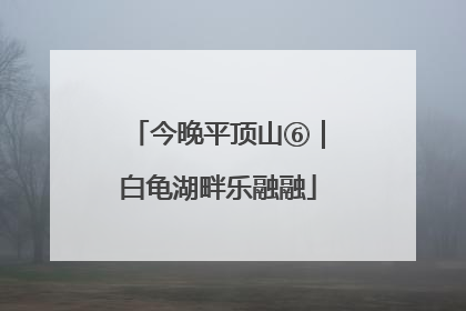 今晚平顶山⑥｜白龟湖畔乐融融
