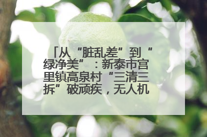从“脏乱差”到“绿净美”：新泰市宫里镇高泉村“三清三拆”破顽疾，无人机“天眼”护新颜