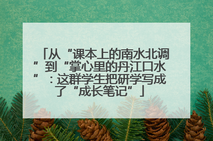 从“课本上的南水北调”到“掌心里的丹江口水”：这群学生把研学写成了“成长笔记”