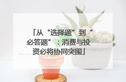 从“选择题”到“必答题”：消费与投资必将协同突围