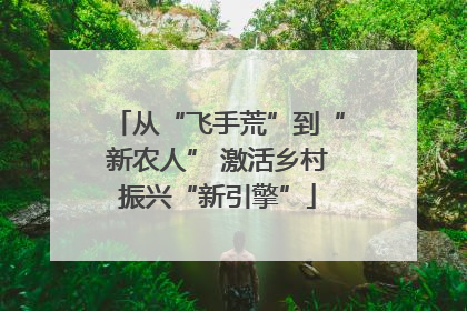 从“飞手荒”到“新农人” 激活乡村振兴“新引擎”
