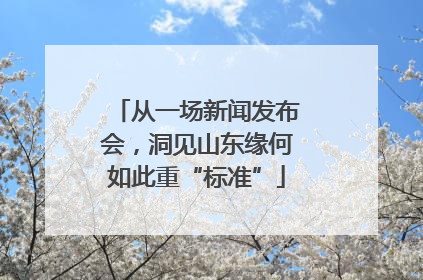 从一场新闻发布会，洞见山东缘何如此重“标准”