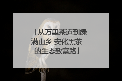 从万里茶道到绿满山乡 安化黑茶的生态致富路
