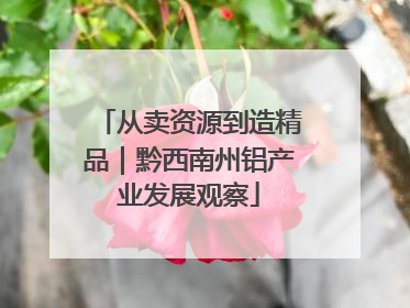 从卖资源到造精品｜黔西南州铝产业发展观察