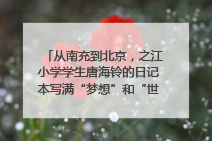 从南充到北京，之江小学学生唐海铃的日记本写满“梦想”和“世界”｜您牵挂的四川
