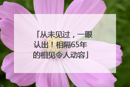 从未见过，一眼认出！相隔65年的相见令人动容