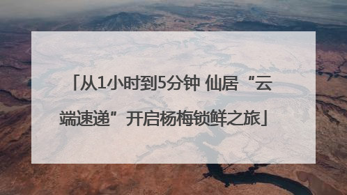 从1小时到5分钟 仙居“云端速递”开启杨梅锁鲜之旅