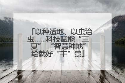 以种适地、以虫治虫……科技赋能“三夏” “智慧种地”绘就好“丰”景