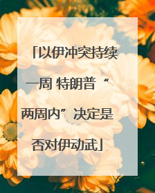 以伊冲突持续一周 特朗普“两周内”决定是否对伊动武