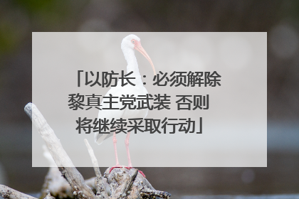 以防长：必须解除黎真主党武装 否则将继续采取行动