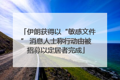 伊朗获得以“敏感文件” 消息人士称行动由被招募以定居者完成