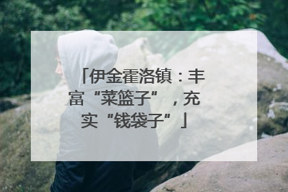 伊金霍洛镇：丰富“菜篮子”，充实“钱袋子”