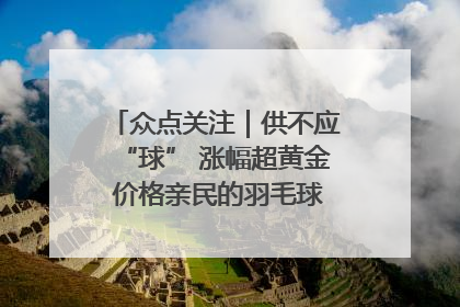 众点关注｜供不应“球” 涨幅超黄金 价格亲民的羽毛球为何身价飞涨？