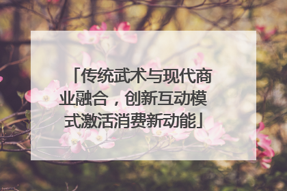 传统武术与现代商业融合，创新互动模式激活消费新动能