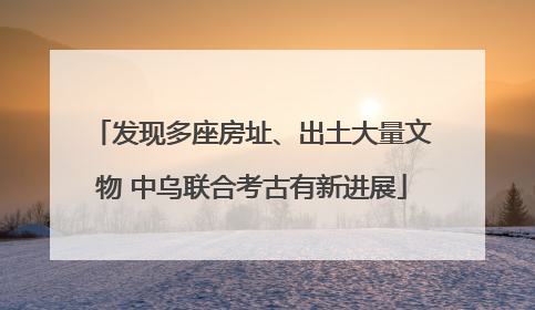 发现多座房址、出土大量文物 中乌联合考古有新进展