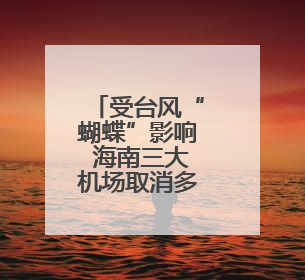 受台风“蝴蝶”影响 海南三大机场取消多个航班