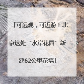 可远观，可近游！北京这处“水岸花园”新建62公里花墙