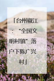 台州椒江：“全国文明村镇”落户下陈广兴村