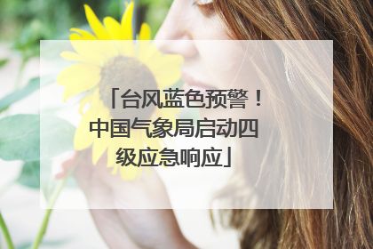 台风蓝色预警！中国气象局启动四级应急响应