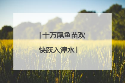 十万尾鱼苗欢快跃入湟水