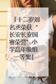 十二岁刘名丞荣获“长安长安国赛荣誉”小学高年级组一等奖