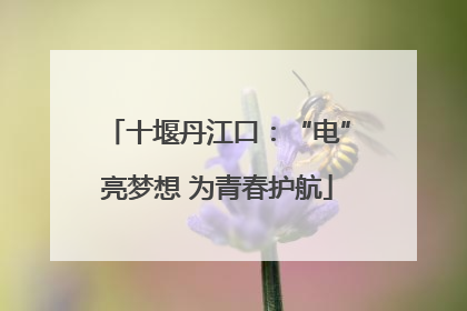 十堰丹江口：“电”亮梦想 为青春护航