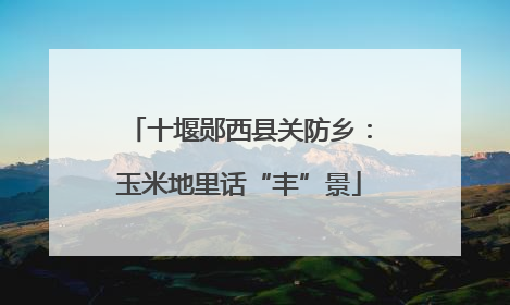 十堰郧西县关防乡：玉米地里话“丰”景