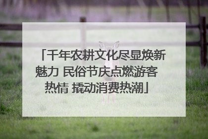 千年农耕文化尽显焕新魅力 民俗节庆点燃游客热情 撬动消费热潮