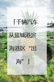 千辆汽车从盐城港滨海港区“出海”