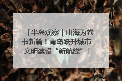 半岛观察｜山海为卷书新篇！青岛跃升城市文明建设“新航线”