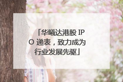 华曦达港股 IPO 递表，致力成为行业发展先驱