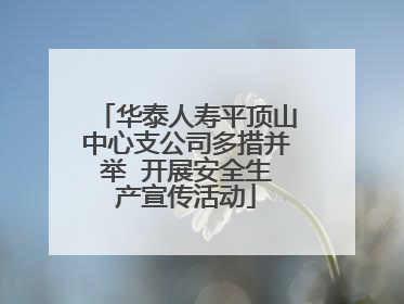华泰人寿平顶山中心支公司多措并举  开展安全生产宣传活动
