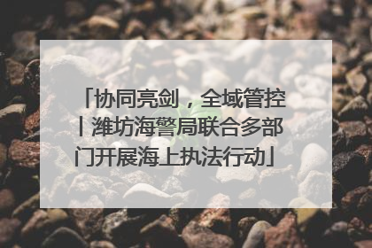 协同亮剑，全域管控丨潍坊海警局联合多部门开展海上执法行动