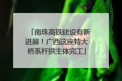 南珠高铁建设有新进展！广西这座特大桥系杆拱主体完工