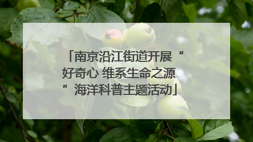 南京沿江街道开展“好奇心 维系生命之源”海洋科普主题活动