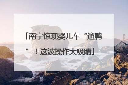 南宁惊现婴儿车“遛鸭”！这波操作太吸睛