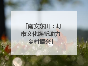 南安东田：圩市文化焕新助力乡村振兴
