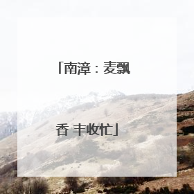 南漳：麦飘香 丰收忙