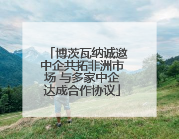 博茨瓦纳诚邀中企共拓非洲市场 与多家中企达成合作协议