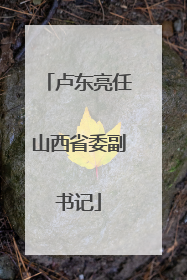 卢东亮任山西省委副书记