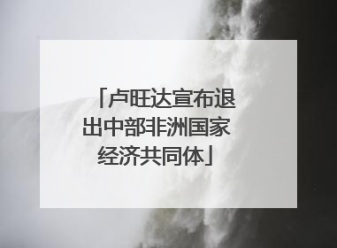 卢旺达宣布退出中部非洲国家经济共同体