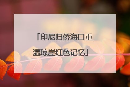 印尼归侨海口重温琼崖红色记忆