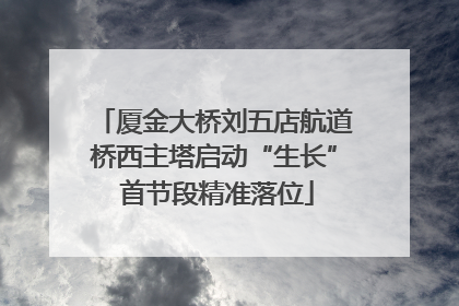 厦金大桥刘五店航道桥西主塔启动“生长” 首节段精准落位