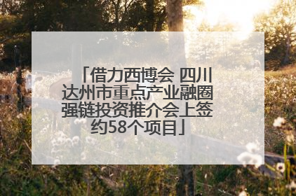 借力西博会 四川达州市重点产业融圈强链投资推介会上签约58个项目