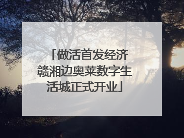 做活首发经济 赣湘边奥莱数字生活城正式开业