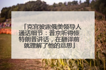 克宫披露俄美领导人通话细节：普京听得懂特朗普讲话，在翻译前就理解了他的意思