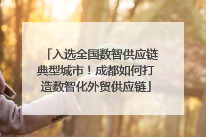 入选全国数智供应链典型城市！成都如何打造数智化外贸供应链
