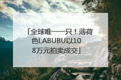 全球唯一一只！薄荷色LABUBU以108万元拍卖成交