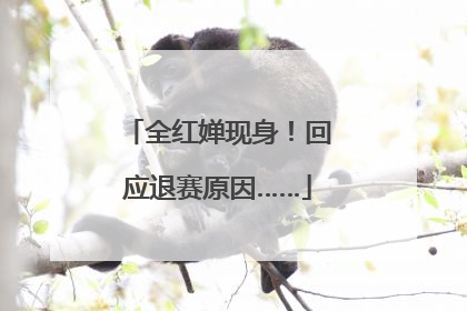 全红婵现身！回应退赛原因……