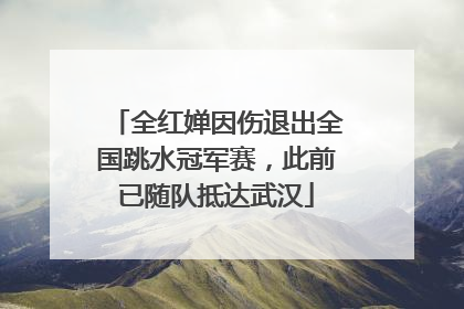 全红婵因伤退出全国跳水冠军赛，此前已随队抵达武汉